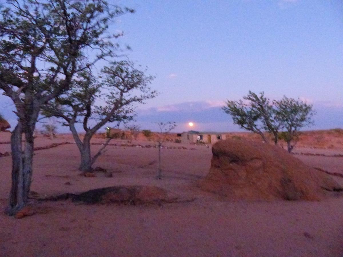 Ozohere Campsite And Himba Village Uis Ngoại thất bức ảnh